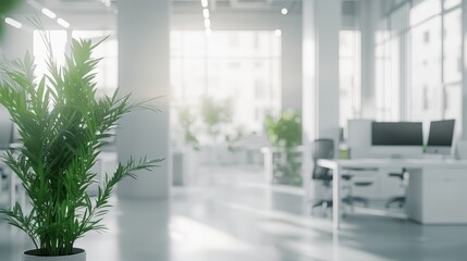 Modern office interior featuring greenery and bright natural light during daytime work hours