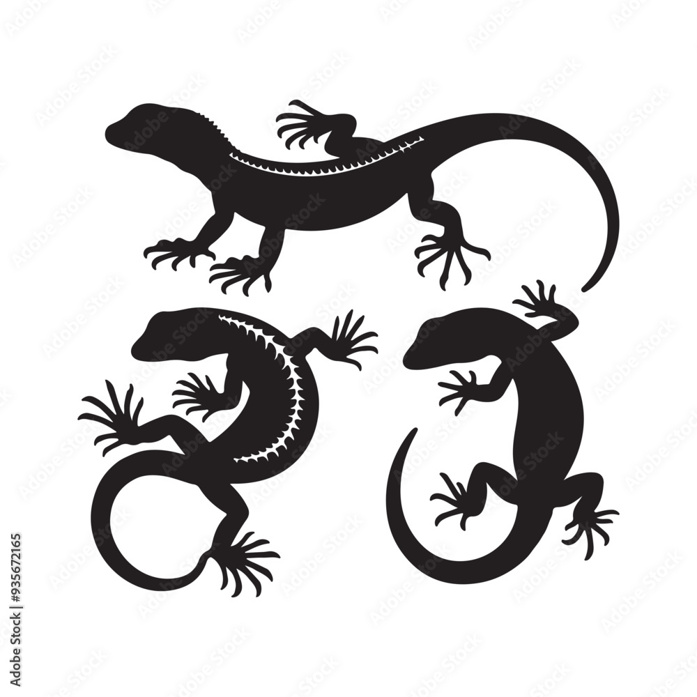 Naklejka premium silhouette of a lizard