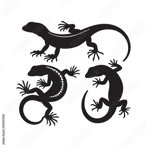 silhouette of a lizard