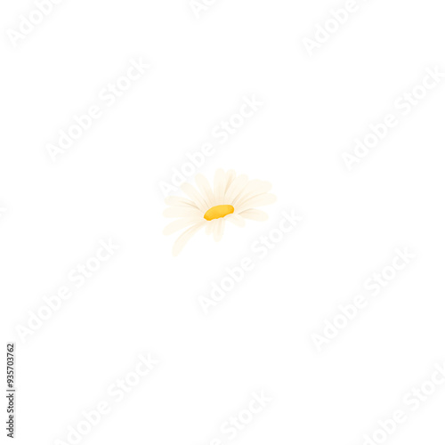 Wallpaper Mural Flower Torontodigital.ca