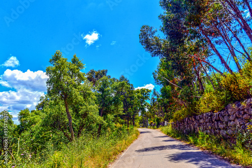 N267 Monchique in Richtung Aljezur, Algarve (Portugal)