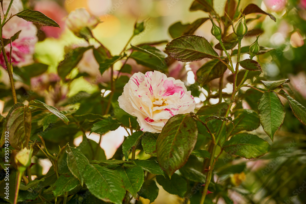 landscape with flowers in a park somewhere in Paris.