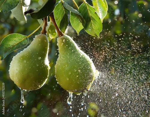 water dropping Pears with tree branches. ai generated photo