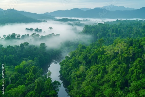 Exploring the Majestic Beauty of a Misty Jungle Landscape