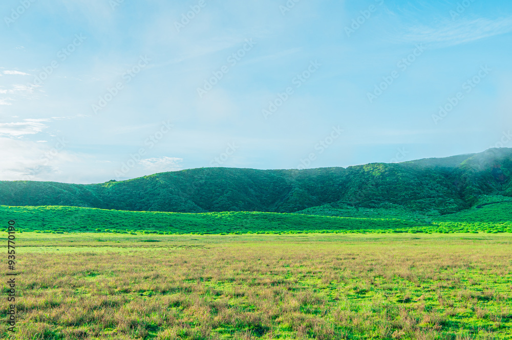 Fototapeta premium 早朝の草千里ヶ浜 熊本 阿蘇