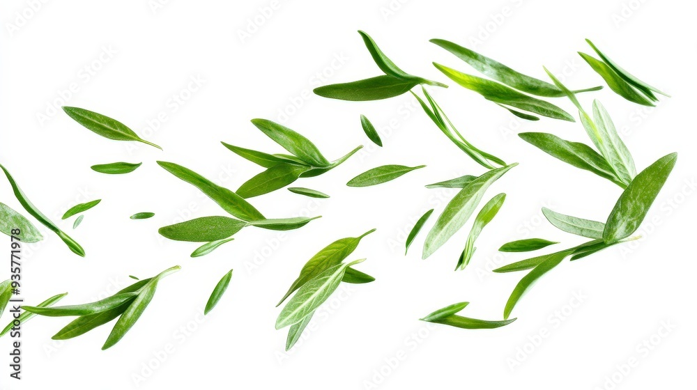 Green leaves falling in mid-air, isolated on white background.