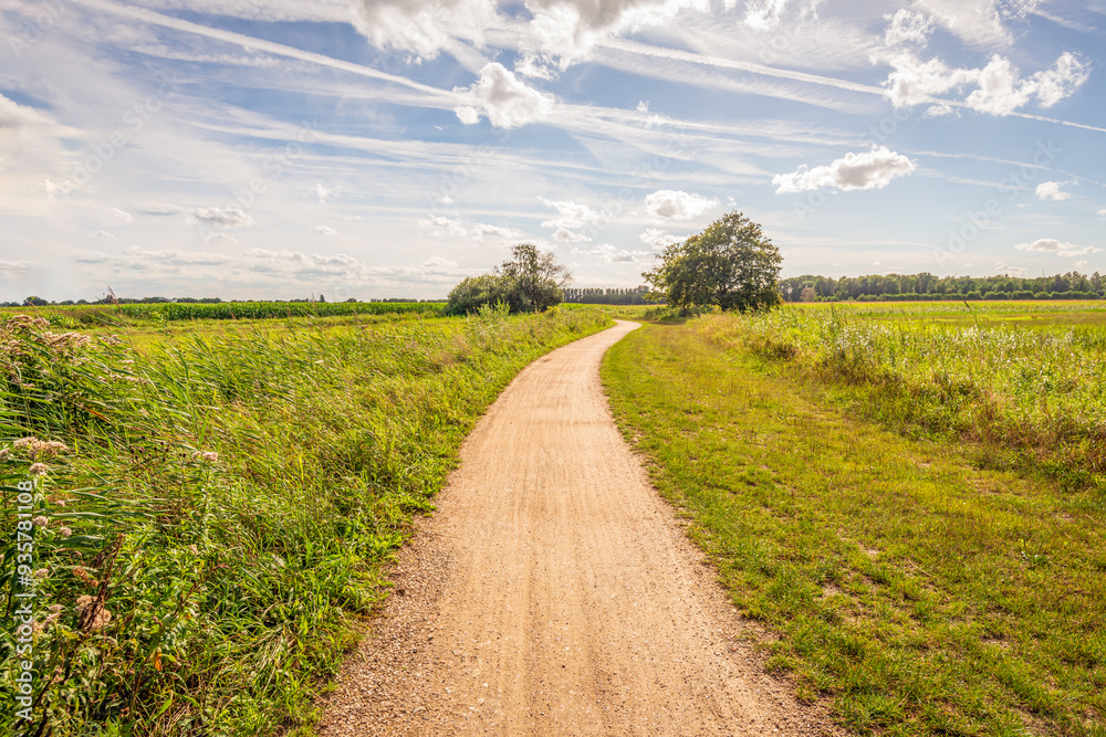Winding path through a rural area in the Dutch province of North Brabant. It is a windless day in summer and there are white clouds and contrails of airplanes in the blue sky.
