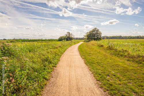 Wallpaper Mural Winding path through a rural area in the Dutch province of North Brabant. It is a windless day in summer and there are white clouds and contrails of airplanes in the blue sky. Torontodigital.ca