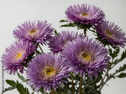 A bouquet of vibrant purple chrysanthemums displayed against a neutral background