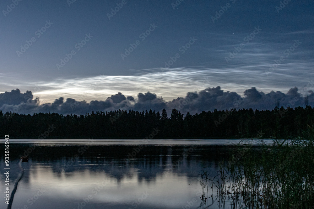 Fototapeta premium charming night landscape with silver clouds, silver clouds over the lake, dark forest silhouette in the background, mesospheric clouds