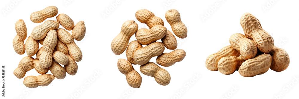 A collection of raw, shelled peanuts arranged in various piles showcasing their natural texture and earthy color. A collection of raw, shelled peanuts arranged in various piles showcasing their natural texture and earthy color.
