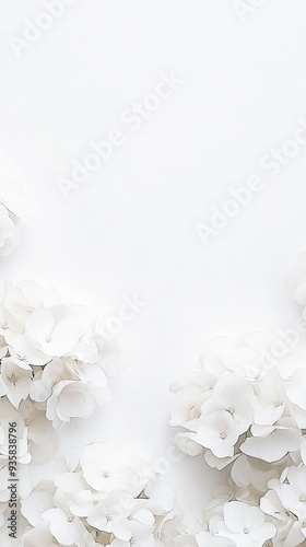 Delicate white hydrangea blooms are artfully arranged on a clean white background, creating an inviting spot for your wedding invitation text photo