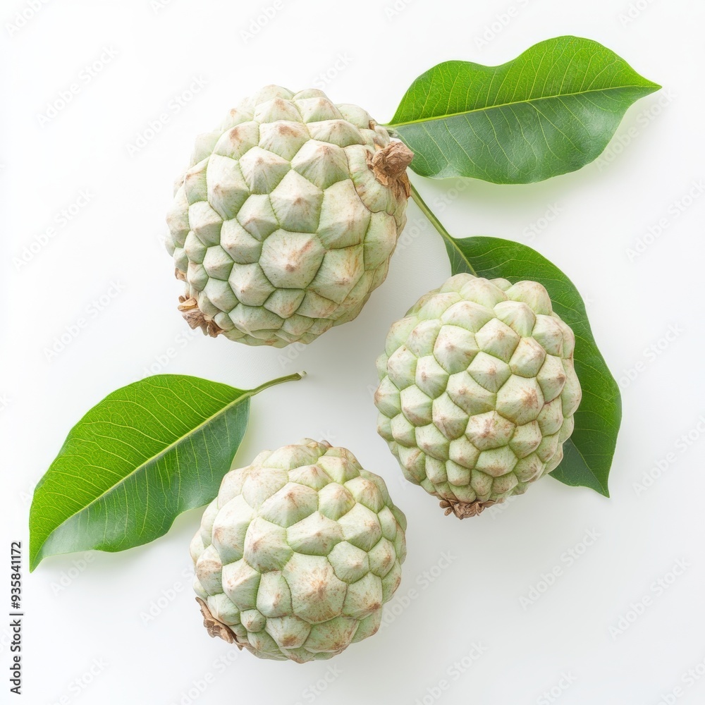 Fototapeta premium Cherimoya Fruit with Green Leaves on a White Background