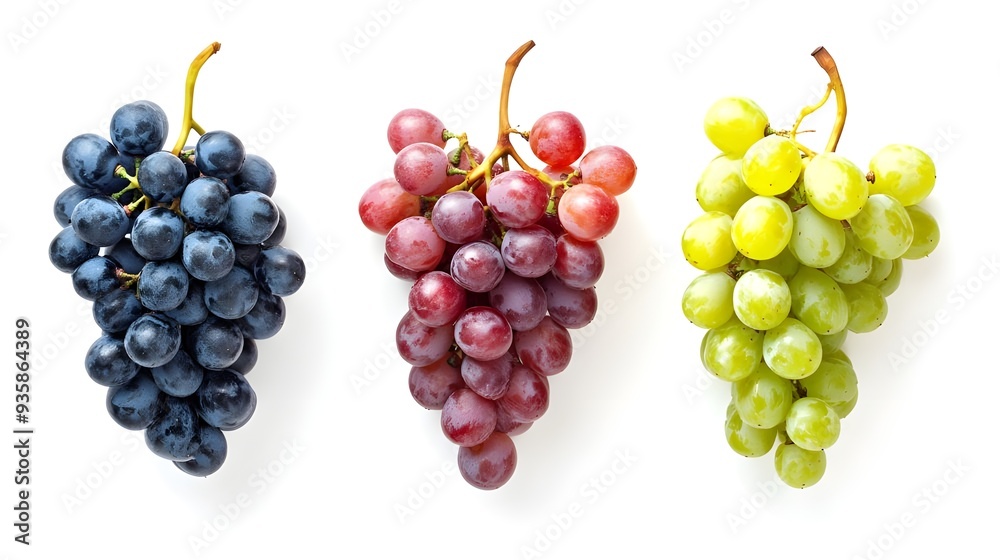 bunch of red grapes isolated on white background bunch of red grapes isolated on white background