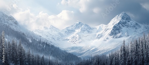 Snow-Covered Mountain Peaks and Forest in Winter