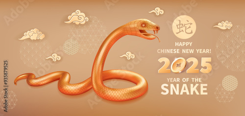 Snake is a symbol of the 2025 Chinese New Year. Realistic 3d figure of golden Snake, clouds and decorations on a beige background. Vector illustration of Zodiac Sign. Chinese translation Snake