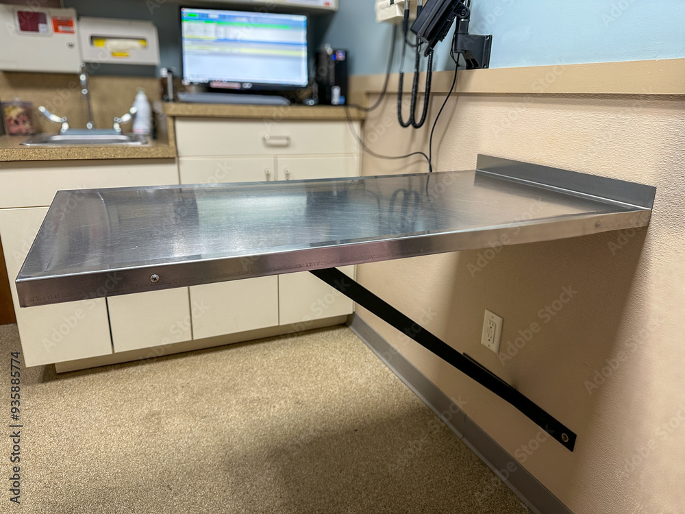 Veterinary exam table in a medical office Veterinary exam table in a medical office