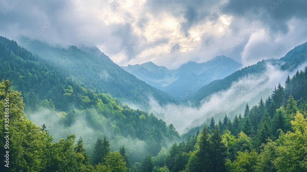 Fototapeta premium Misty Mountain Landscape - Serenity and Tranquility in Nature - A breathtaking view of a mountain range shrouded in mist, showcasing the tranquility of nature. Rolling hills, lush forests, and soft cl