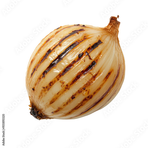 Grilled onion with perfect char marks isolated on a white background. photo