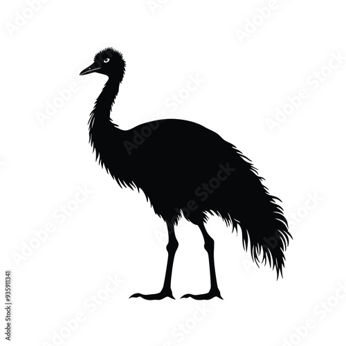 black silhouette of an emu isolated on white background