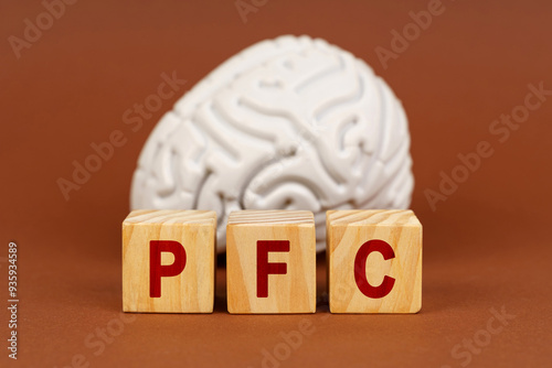 Canvas Print Exploring the prefrontal cortex with wooden blocks labeled PFC in front of a bra