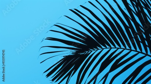 palm frond against a clear blue sky
