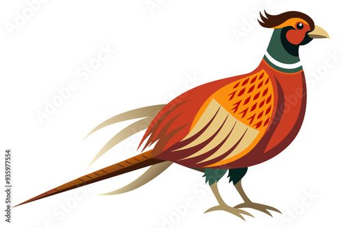 Common pheasant domestic bird vector art illustration 