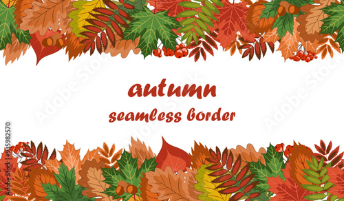 autumn seamless border, a lot of bright fallen leaves, acorns and rowan berries  lie in a horizontal strip from below and above. colorful vector illustration on an autumn theme. isolated on white