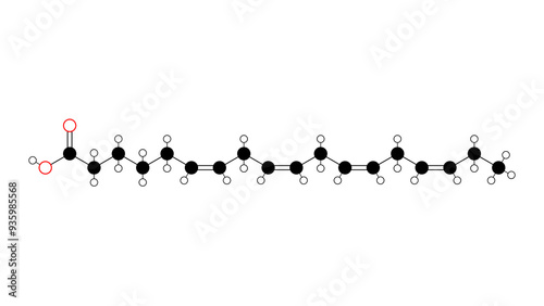 stearidonic acid molecule, structural chemical formula, ball-and-stick model, isolated image omega−3 fatty acid photo