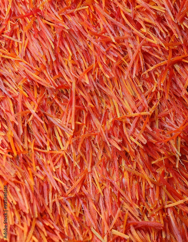 Fototapeta premium Best Abstract colorful gradient background with grainy texture.