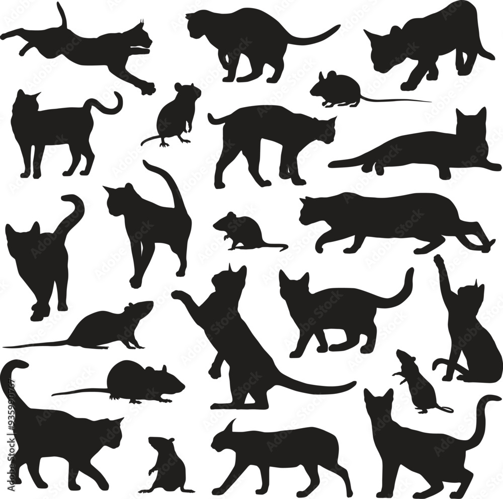 Obraz premium animal rat & cat silhouette