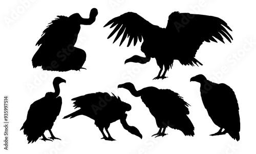 Set of American vulture silhouettes. Wild birds of Africa. Realistic vector animals