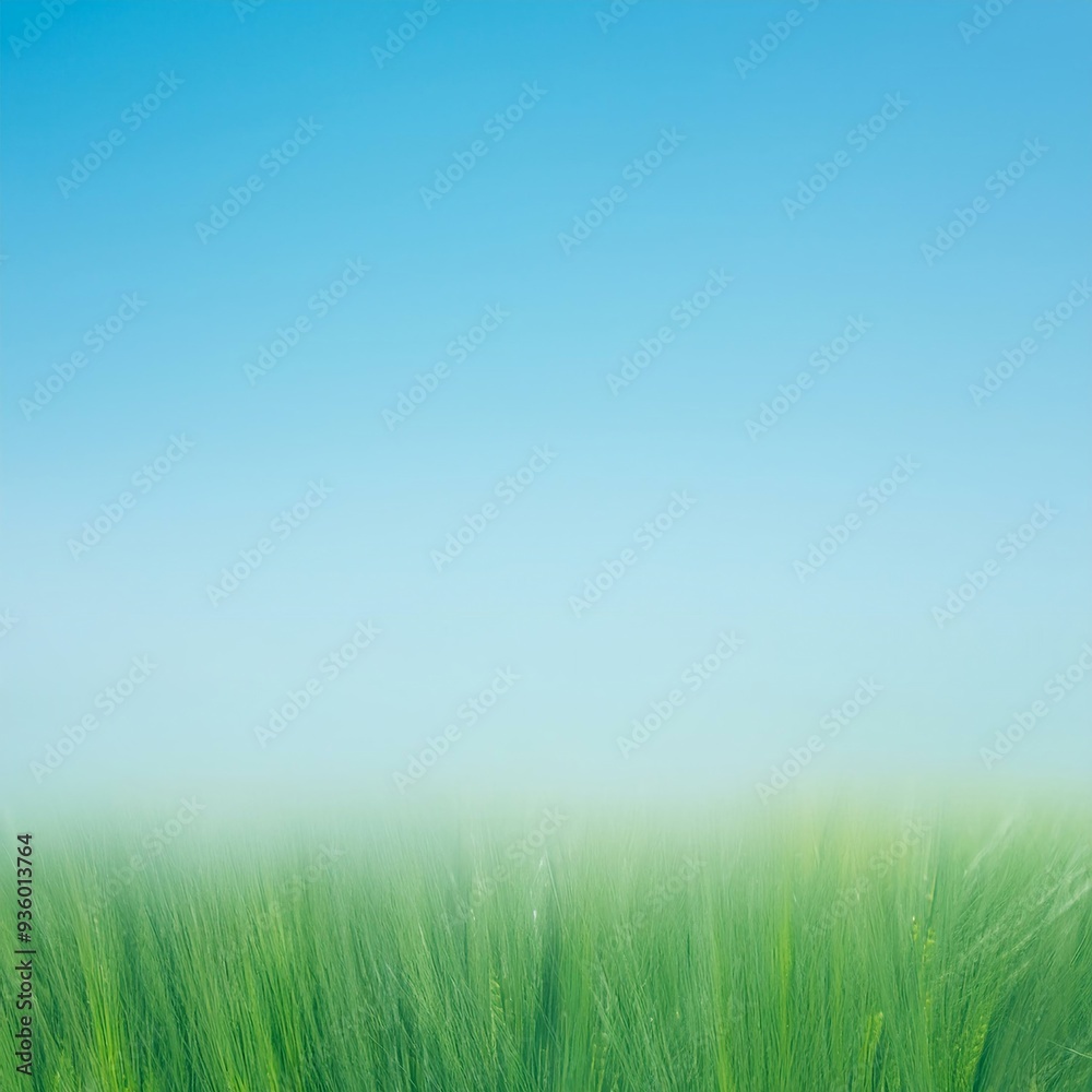 New Top abstract Color gradient background New Top abstract Color gradient background