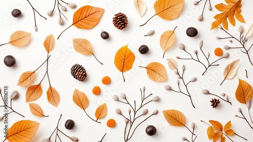 Colorful autumn leaves and branches are artfully arranged on a clean white background, creating a minimalistic flat lay design perfect for seasonal decoration or invitations photo