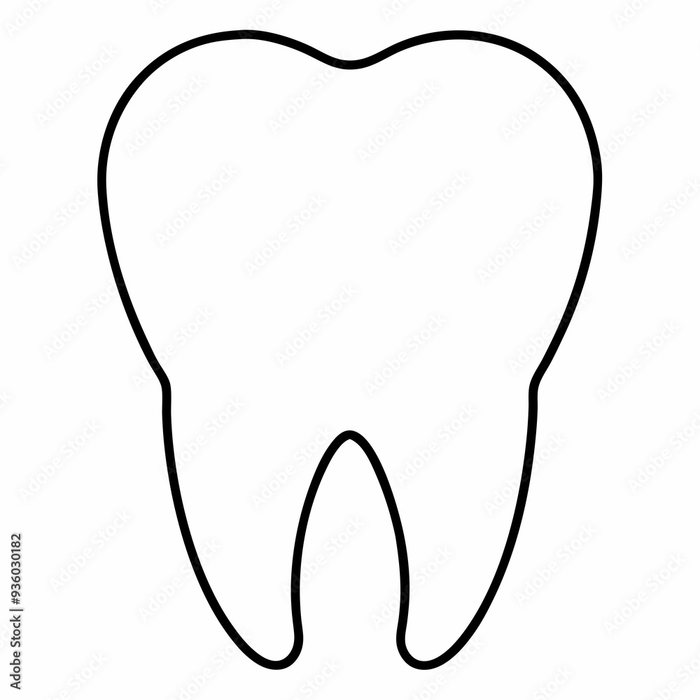 tooth isolated on white tooth isolated on white
