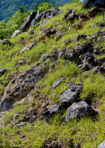 Mountain landscape with green grass and rocks in a sunny day