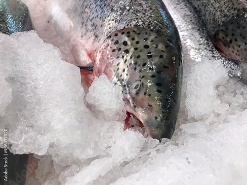 Photos of fresh salmon on ice, perfect for illustrating fishing, culinary, or seafood market themes.  photo