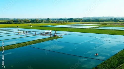 Wallpaper Mural Scientific Aquaculture with Multiple Fish Ponds and Sunlight Torontodigital.ca