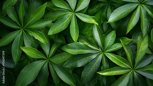 Green Lush Foliage Texture Background