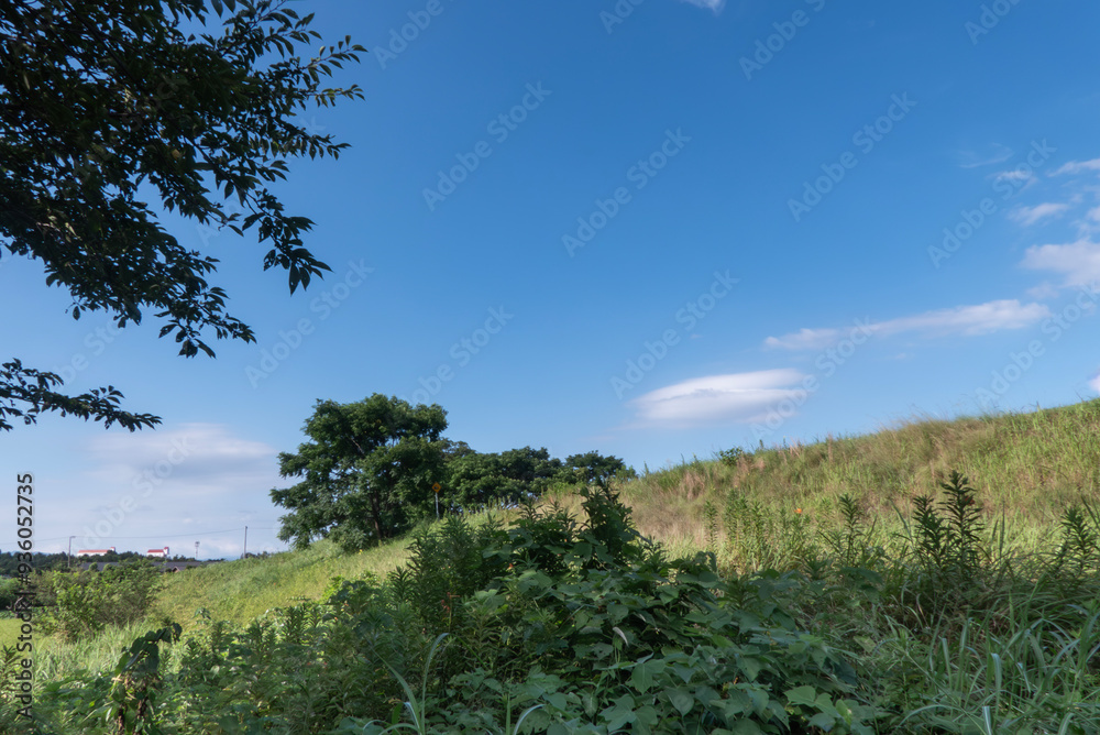 Obraz premium 夏の青空 土堤の風景