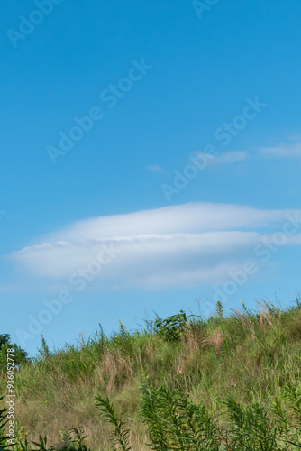 夏の青空 土堤の風景