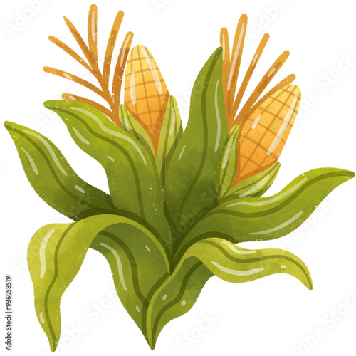 Corn Stalk, Corn Plant, Corn Varieties Watercolor Illustration photo