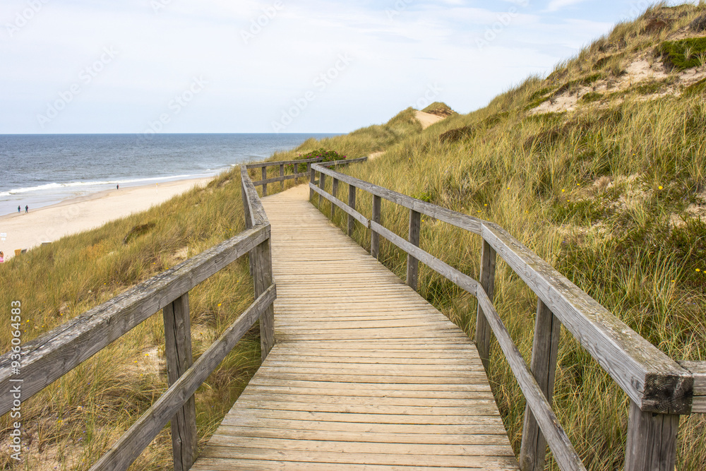 Dünenwanderweg am roten Cliff in Wenningstedt auf Sylt Dünenwanderweg am roten Cliff in Wenningstedt auf Sylt