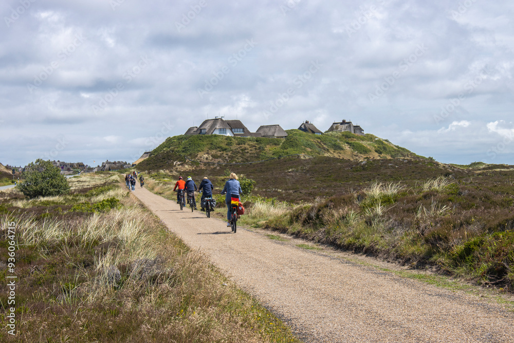 Obraz premium Fahrradweg nach List auf Sylt