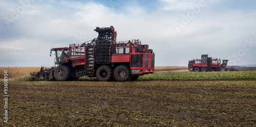 two beet harvesters in the process of harvesting, autumn time