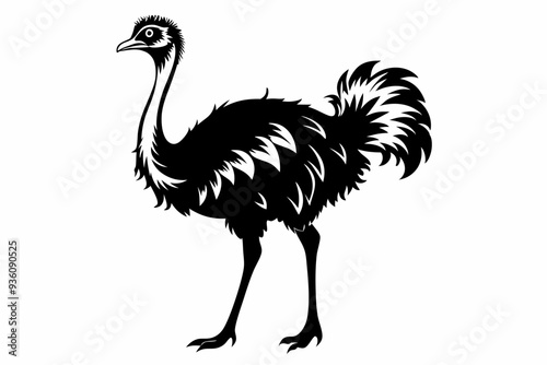 ostrich silhouette vector illustration