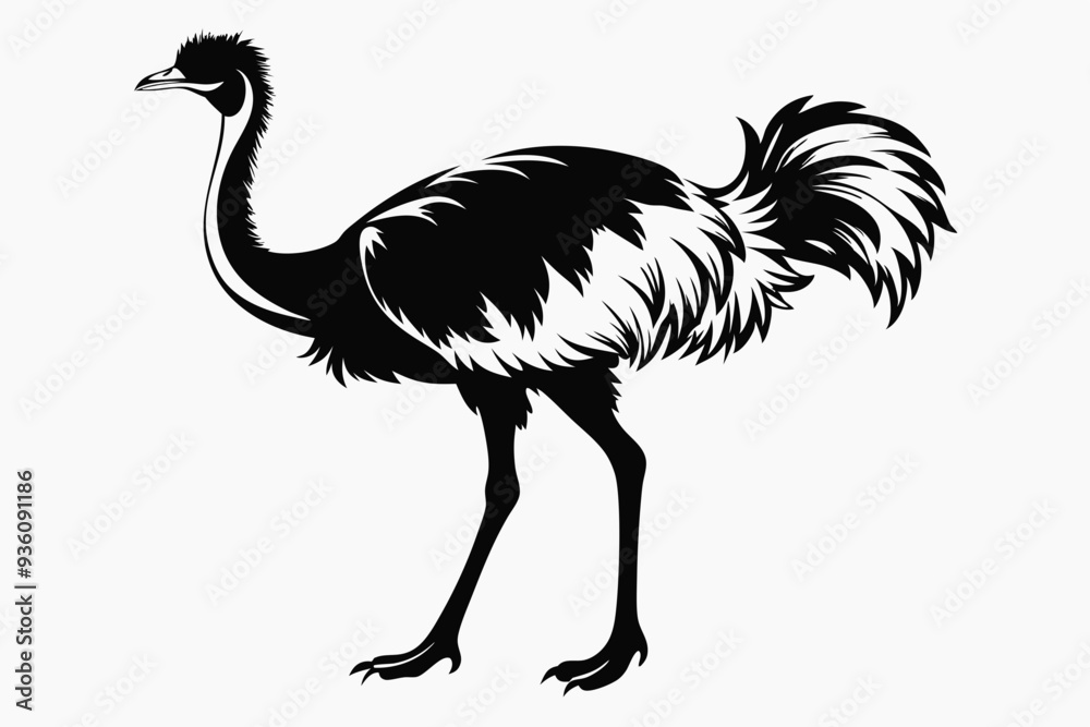 Obraz premium ostrich silhouette vector illustration