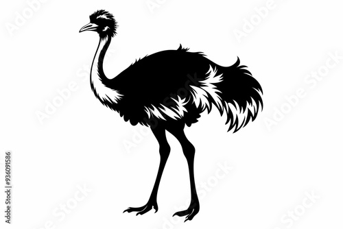 ostrich silhouette vector illustration