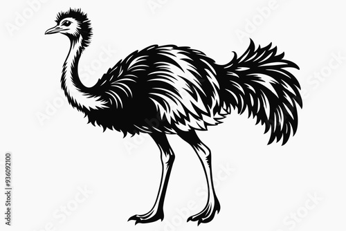 ostrich silhouette vector illustration