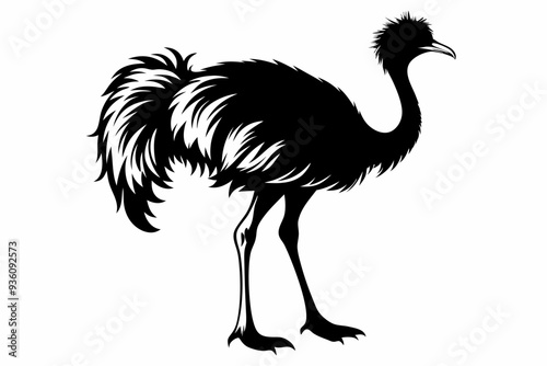 ostrich silhouette vector illustration photo